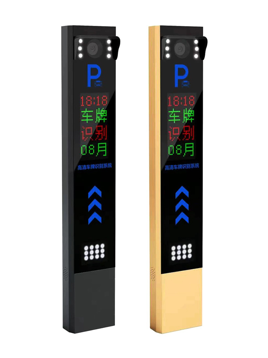 年终盘点|2024年璀璨成就